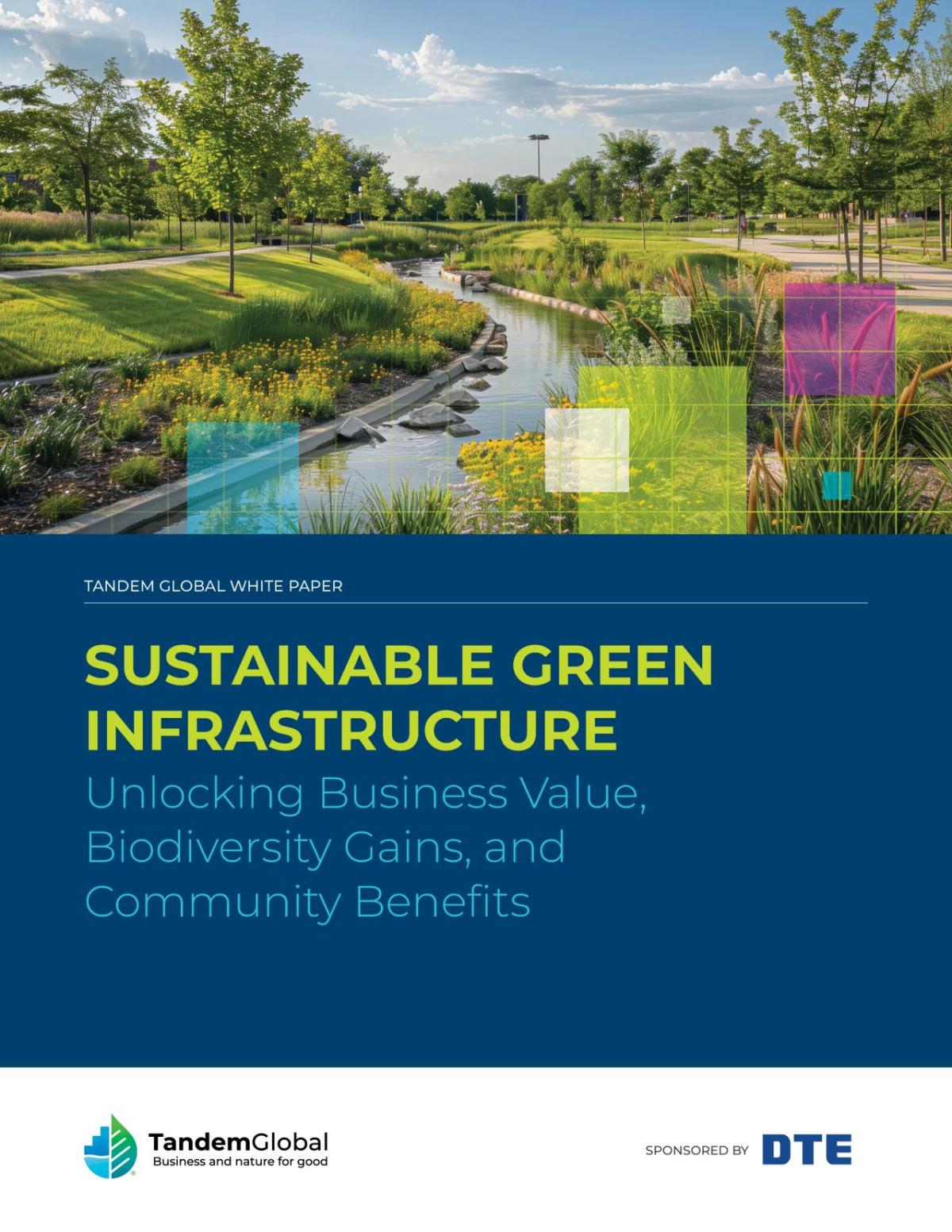 Cover of Tandem Global Green Infrastructure White Paper