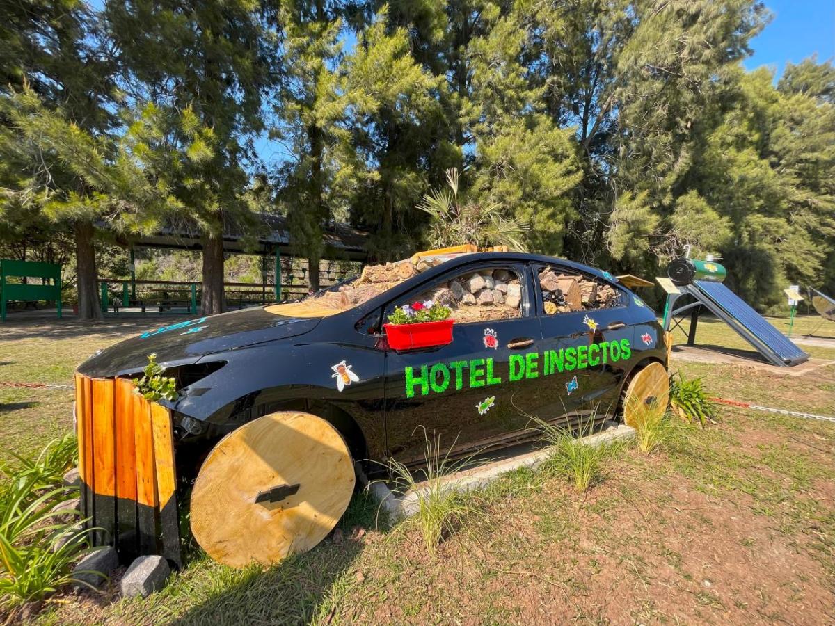 General Motors Argentina's winning bug hotel housed in the body of an old car