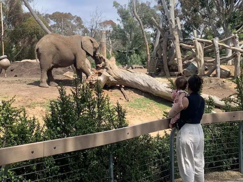 Gabi and her daughter at the zoo viewing an elephant.