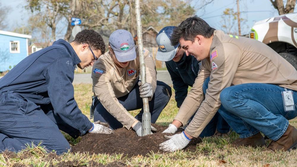 people planting a tree