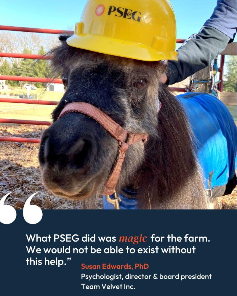 pony with "What PSEG did was magic for the farm. We would not be able to exist without this help." Susan Edwards, PhD