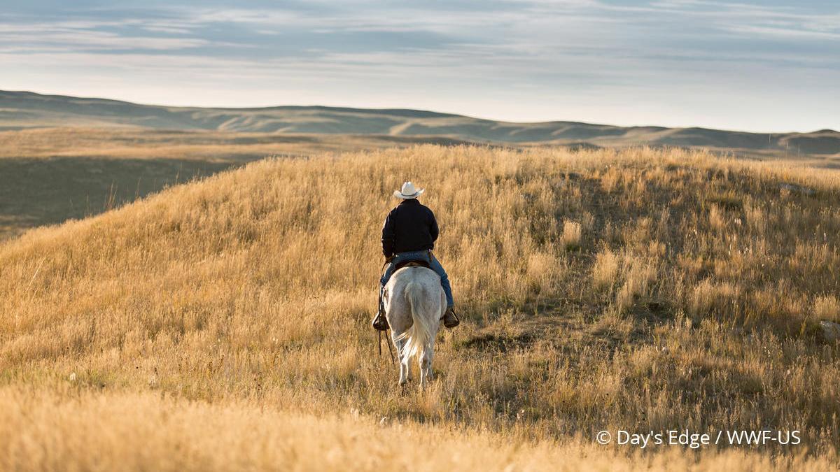 person on a horse in the middle of the praries