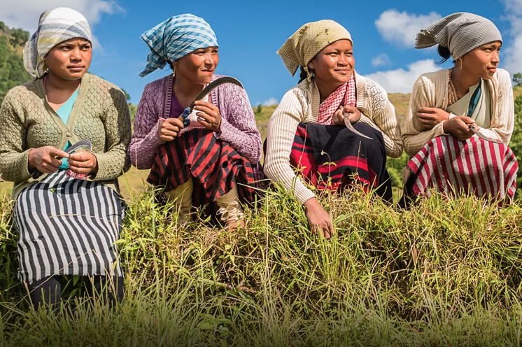 Four women sitting outside in the grass