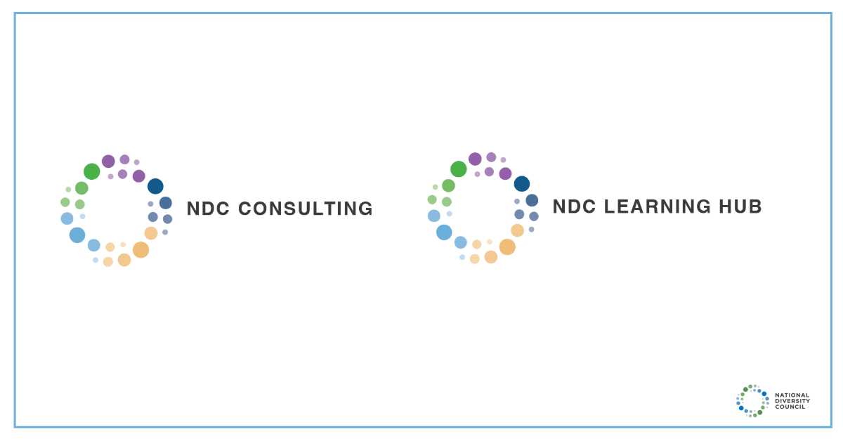 Colorful circle logo for NDC Consulting and NDC Learning Hub