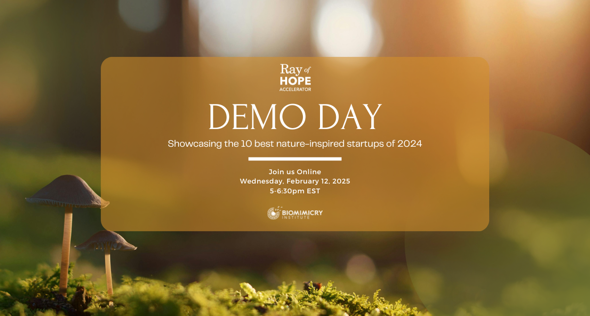 Demo Day promo with time and dates