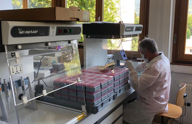 Pierre Taberlet prepares metabarcoding libraries from the loch water samples at Université Grenoble Alpes. | Photo by Neil Gemmell