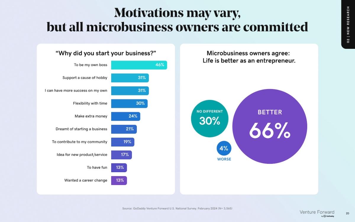 Motivations may vary but all microbusiness owners are committed.