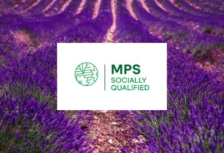 MPS logo with a background of lavender fields