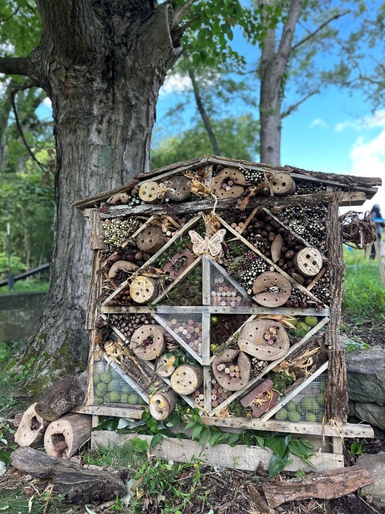 Olympus Energy's winning insect hotel submission