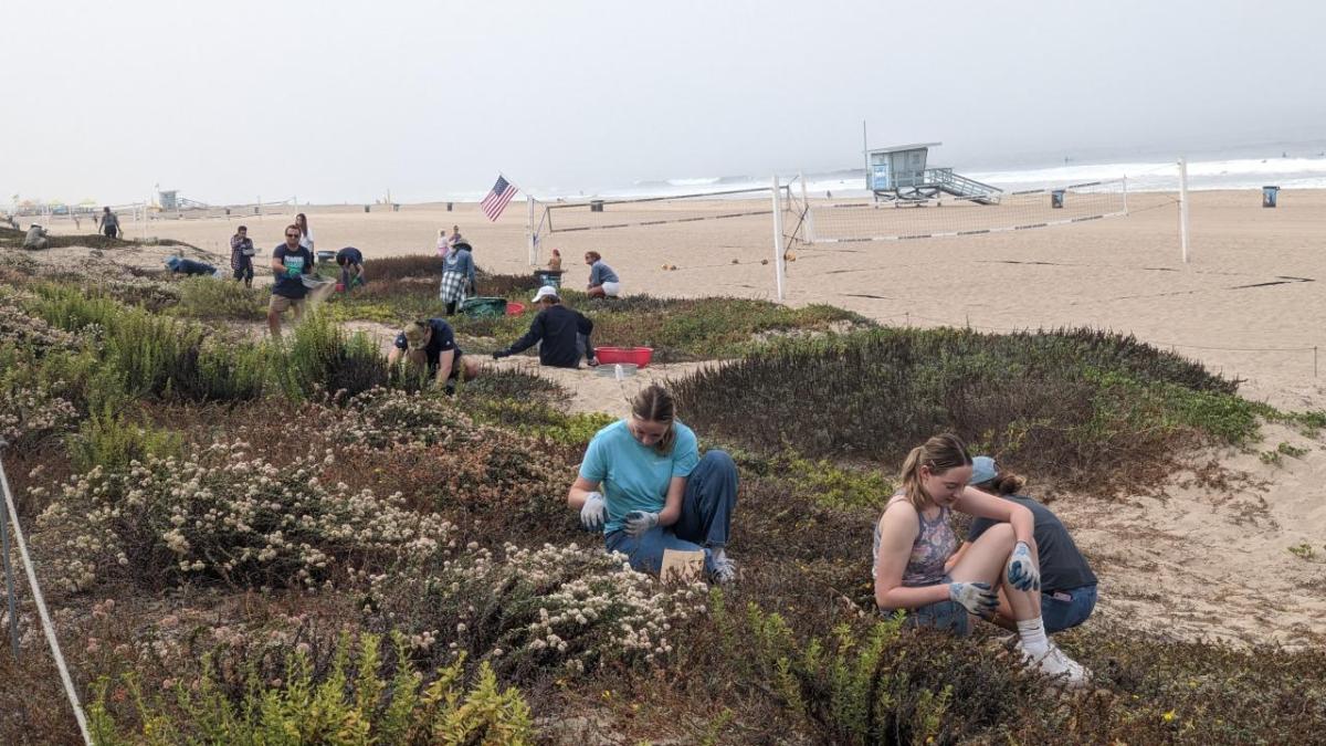 volunteers cleaning up a beach