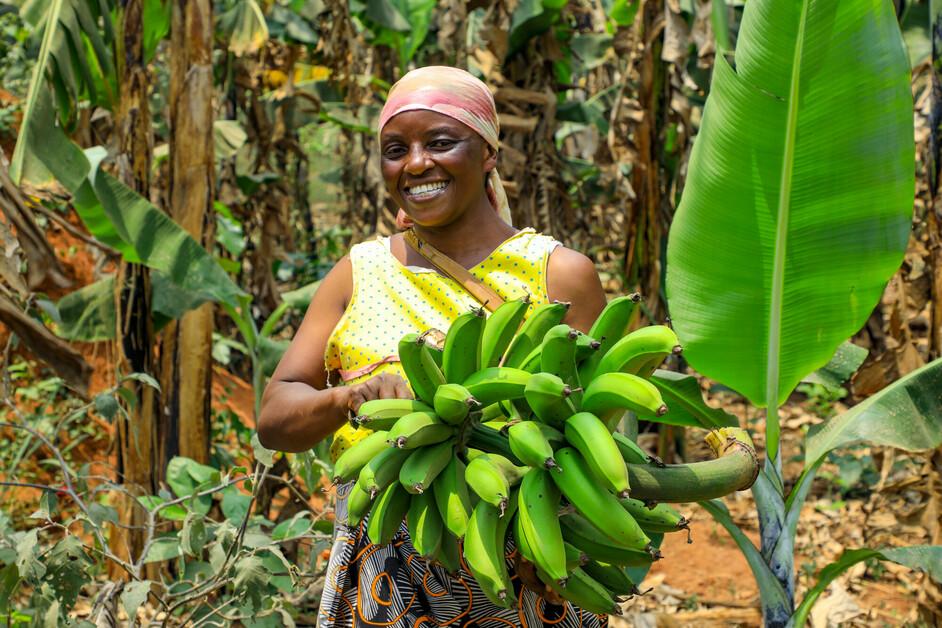 A farmer holding bananas