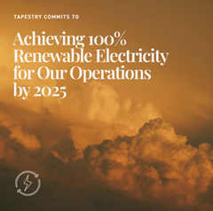 Text that reads "Achieving 100% renewable electricity for our operations by 2025" with a background of clouds