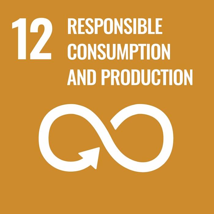 SDG 12: Responsible Consumption and Production.