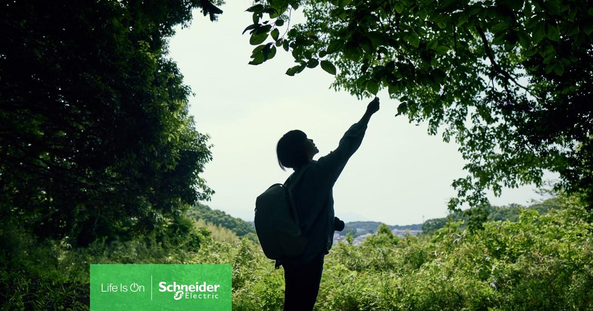 A person reaching up towards a tree branch 