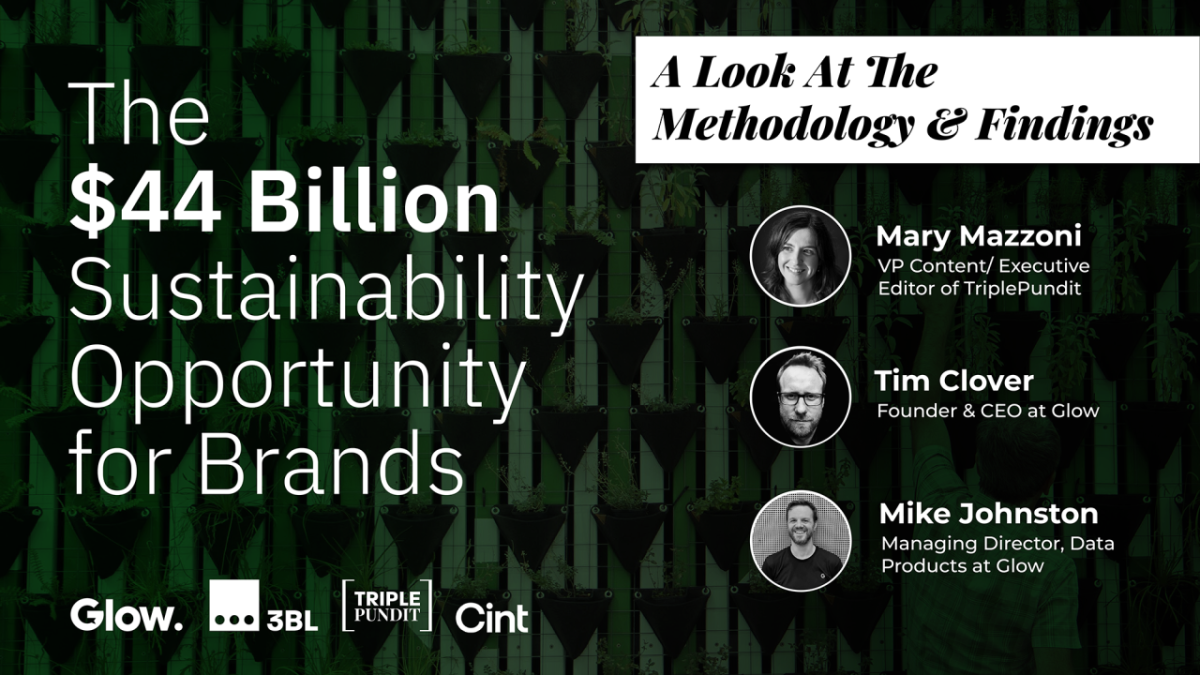 Webinar cover with the text "The $44 Billion Sustainability Opportunity for Brands"