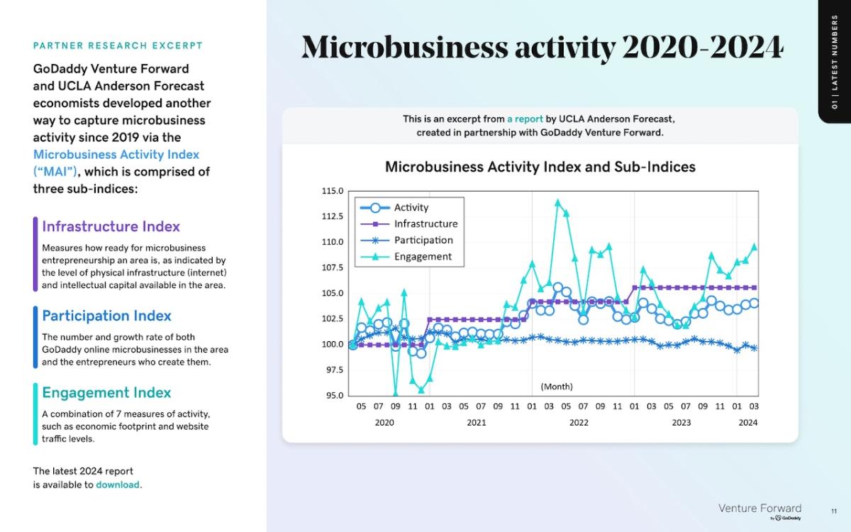 Graph showing microbusiness activity: 2020 - 2024.