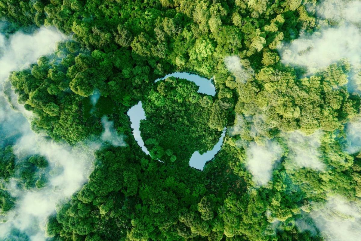 trees with a recycling logo overlay