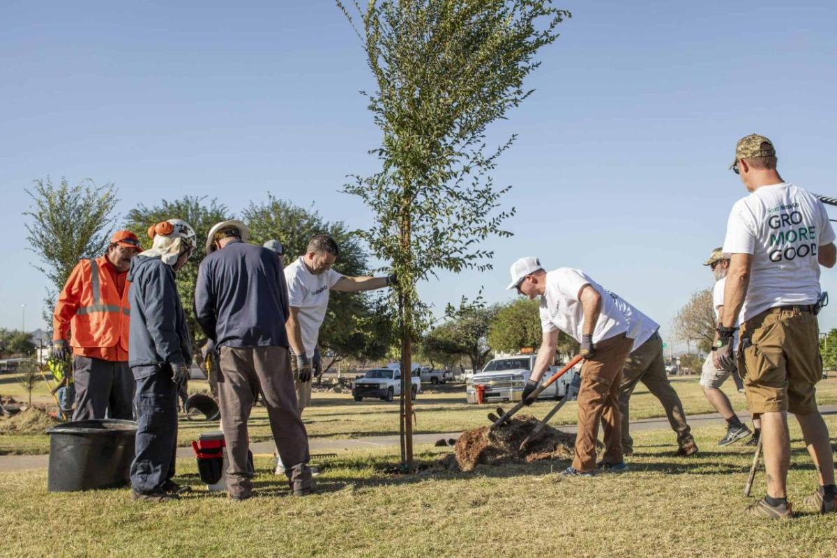 Volunteers planting trees 