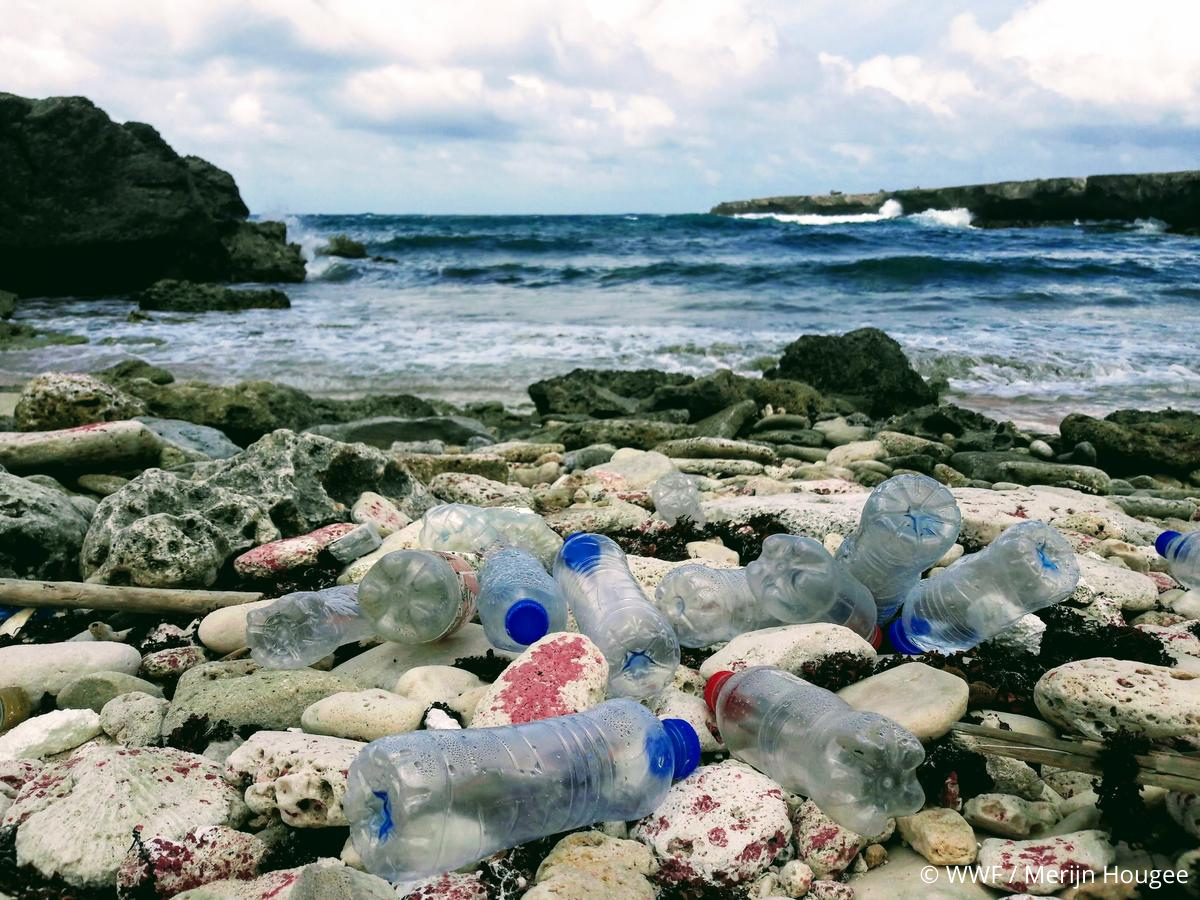 plastic trash on a beach