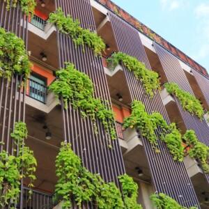 Balcony gardens