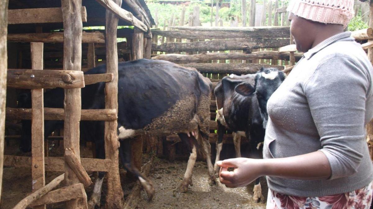 Good practices in animal keeping as well as access to knowledge, products, and services were key to Grace's success.