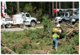 Worker walking through down trees and branches. A powerline down behind them.