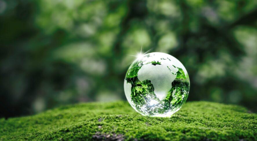 Green globe representing Earth on a field of green.