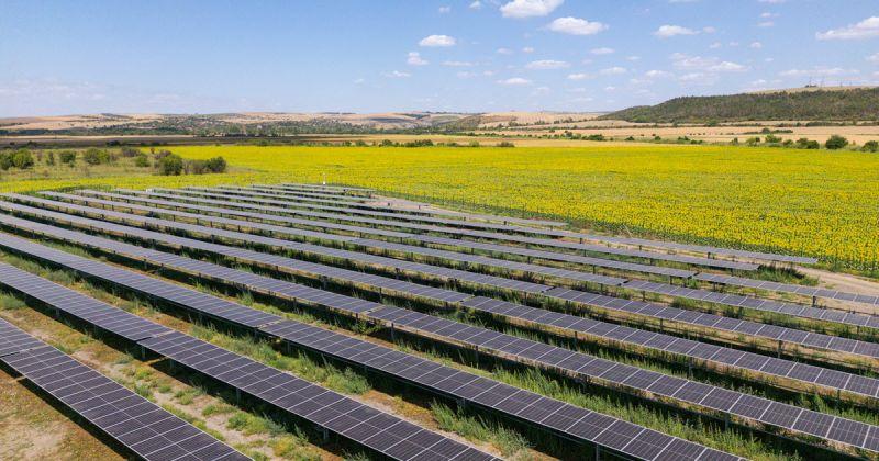 Solar field in Bulgaria, part of Teva’s VPPA " "