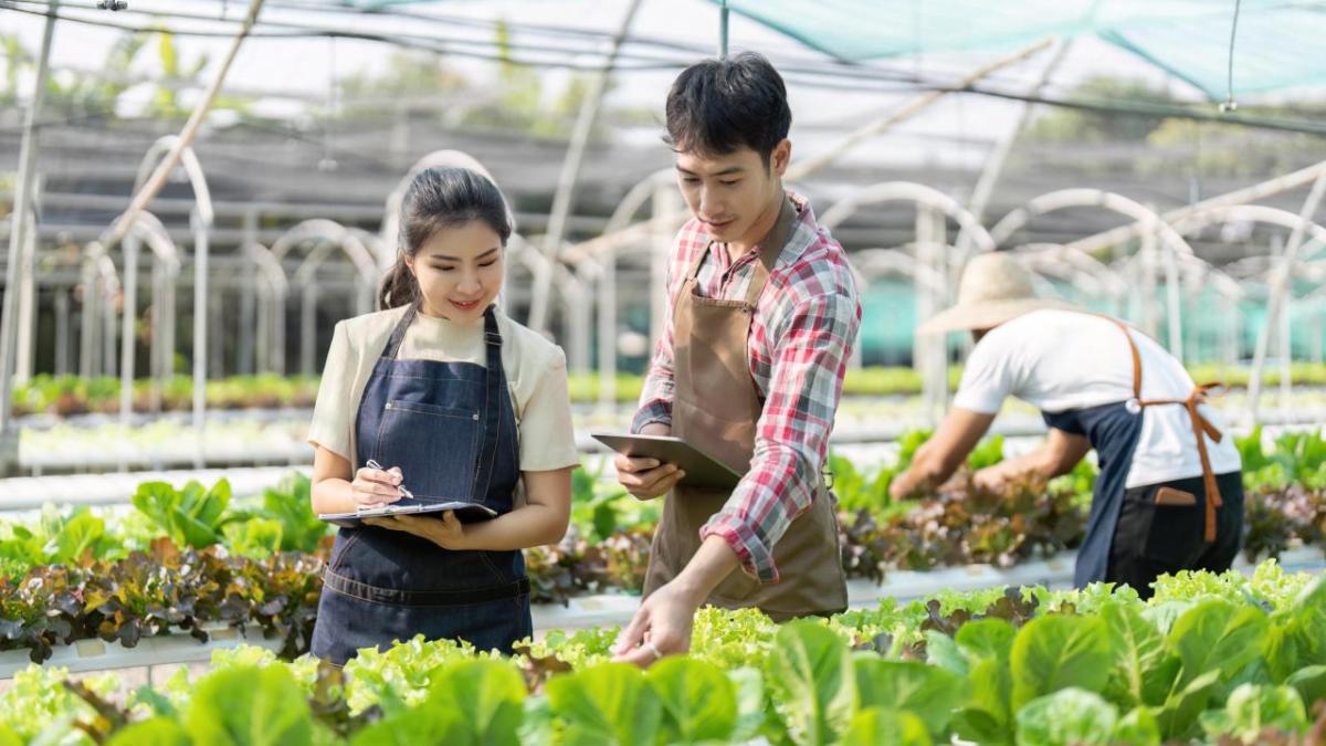 Farmers working together