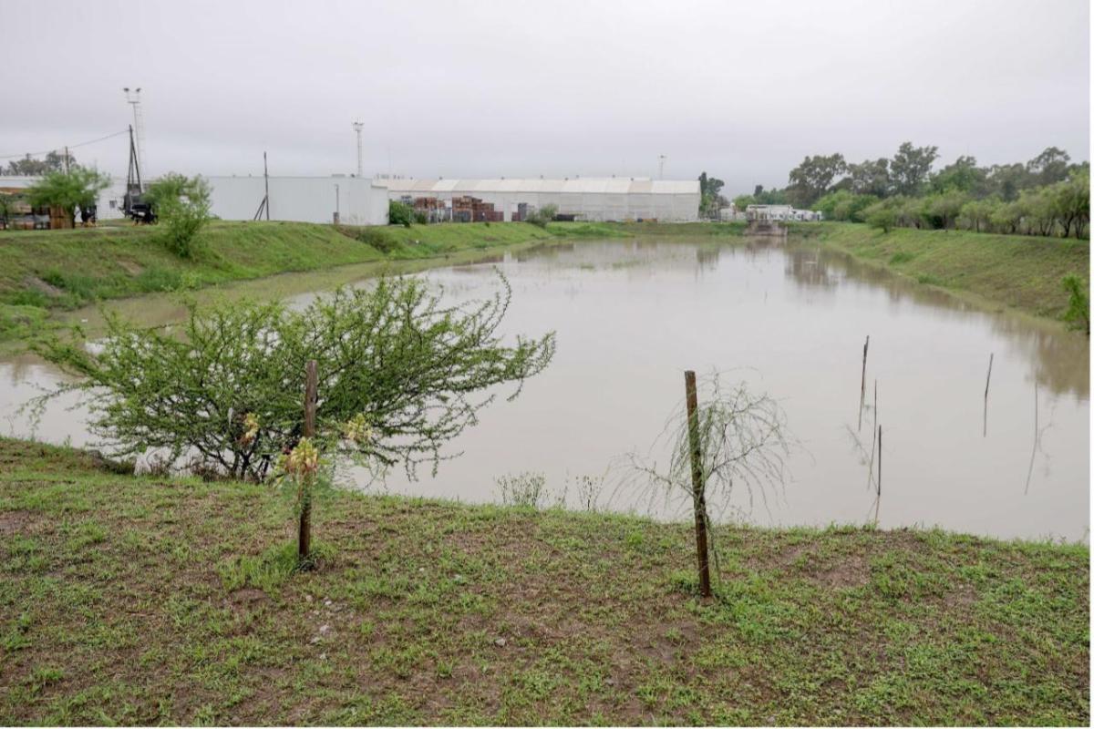 Water in a field