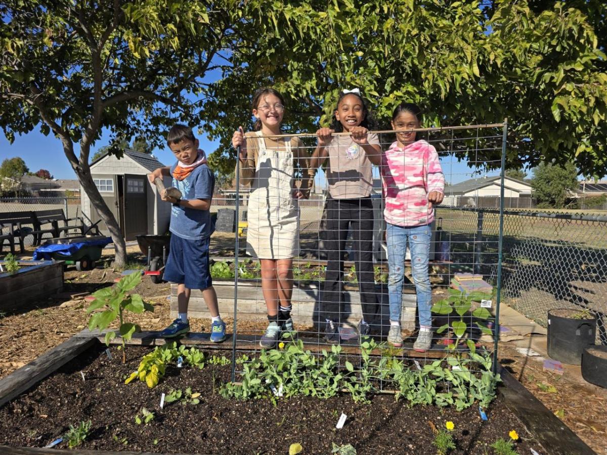 group of children gardening