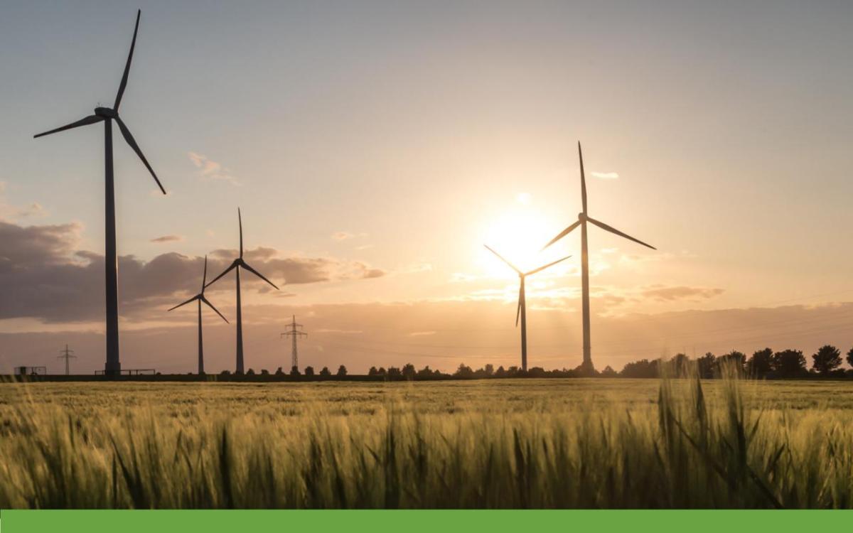 Wind turbines in an open field. A bright sun behind them.