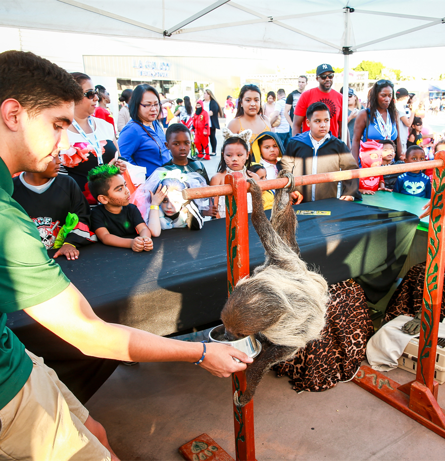 Annual Treats-N-Suites Halloween Bash at Dignity Health Sports Park in Carson, CA had a petting zoo.