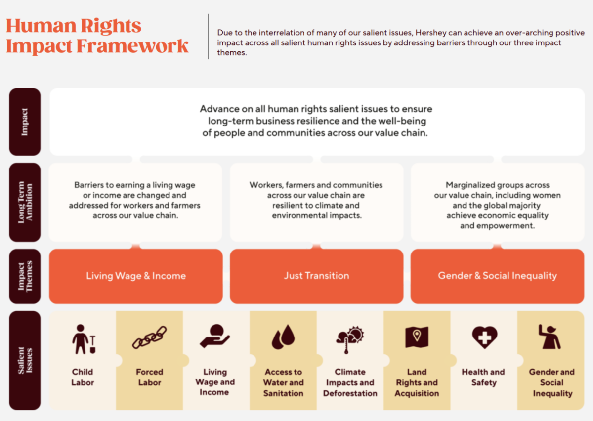human rights impact framework infographic