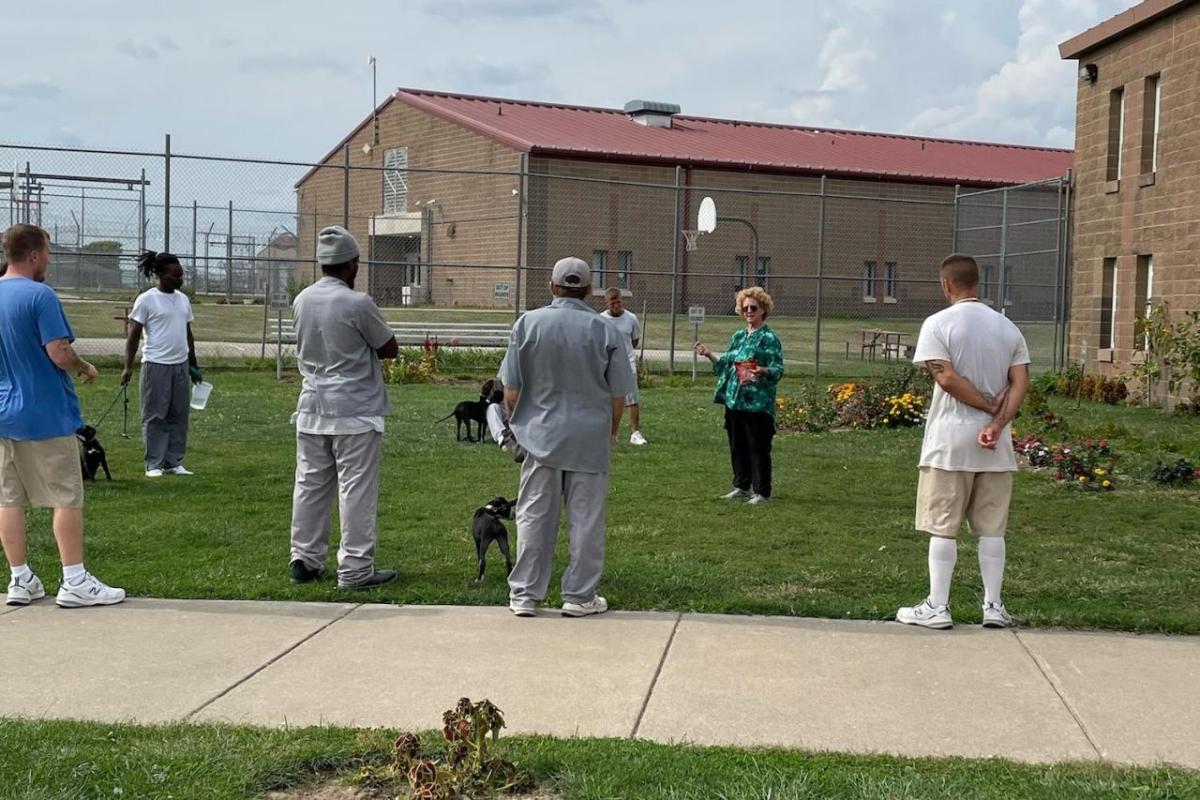 incarcerated people with puppies
