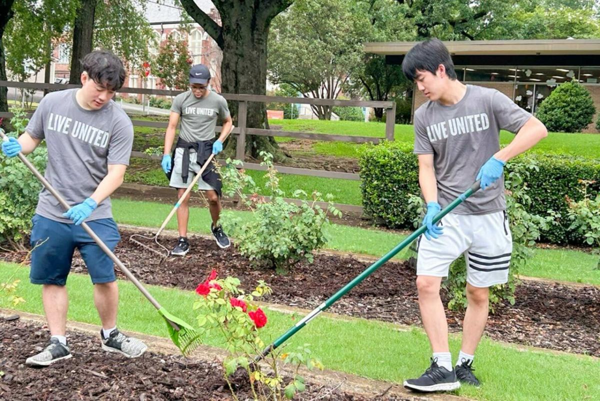 A group of volunteers working in a garden.