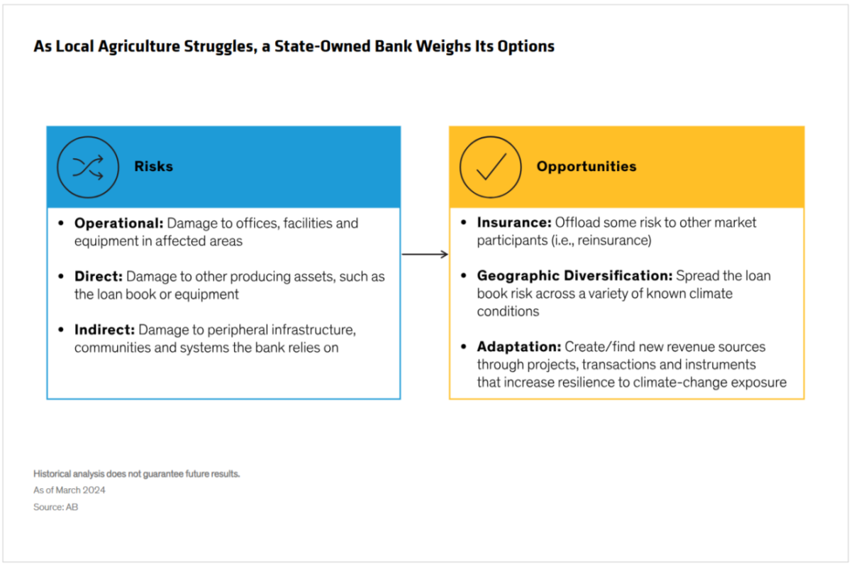 Info graphic comparison chart "As Local Agriculture Struggles, a State-Owned Bank Weighs Its Options" with points for "Risks" and "Opportunities".