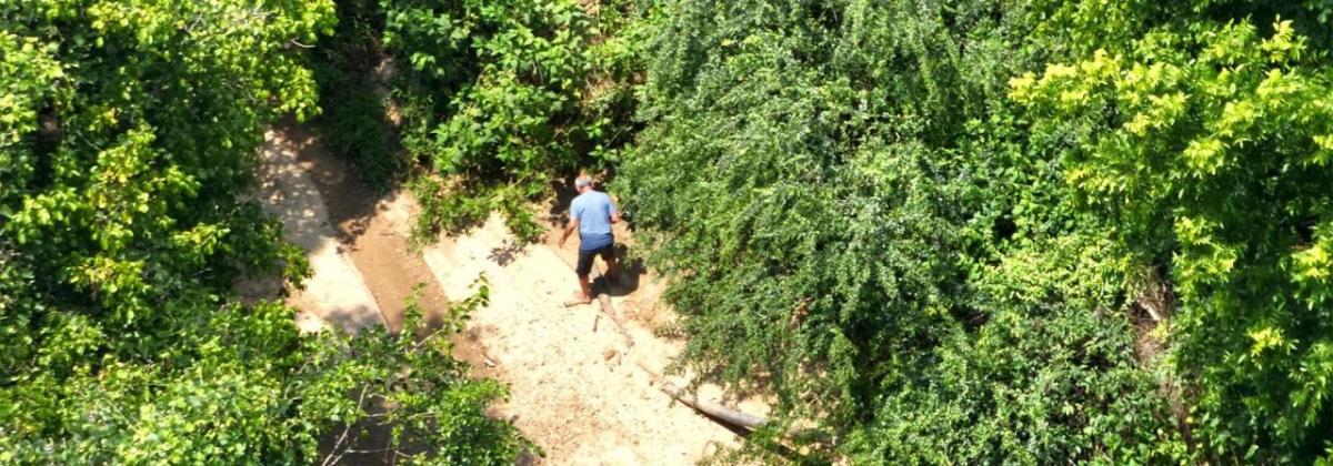 Aerial view of the missing man in a tree-dense area.