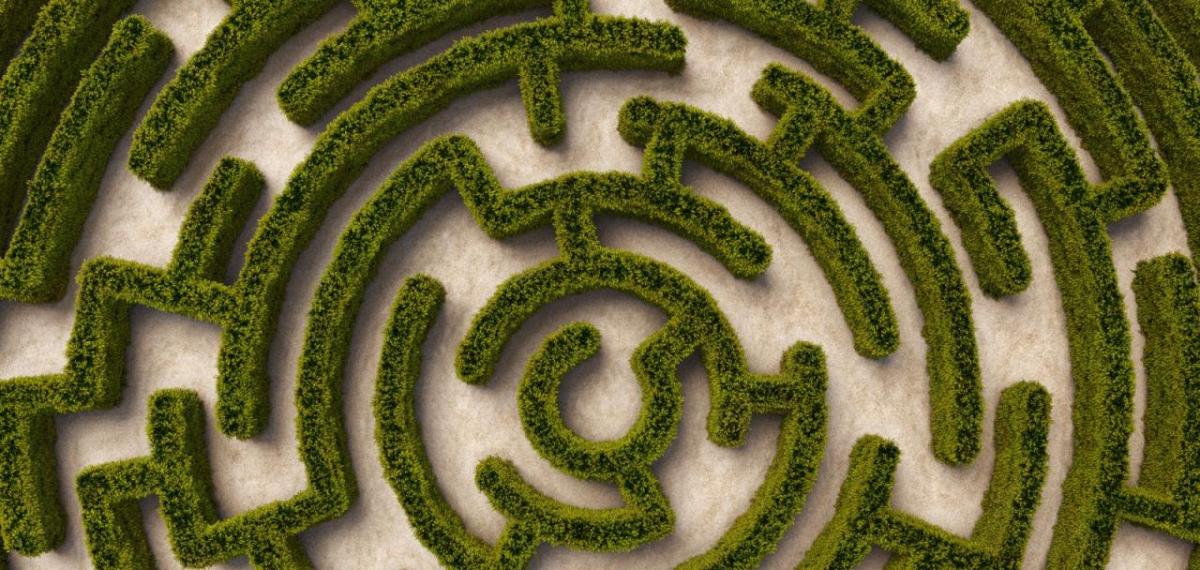 Aerial view of a hedge-maze.