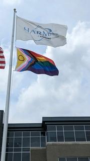 A flag pole with HARMAN and LGBTQ+ flag flying