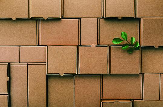 Brown boxes in a stack with a green plant sprig