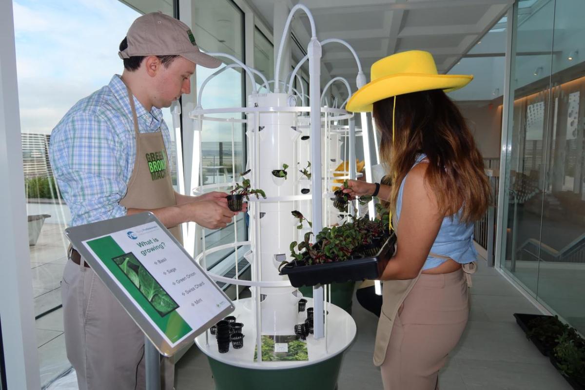 Two people putting plants into a tower growing device.