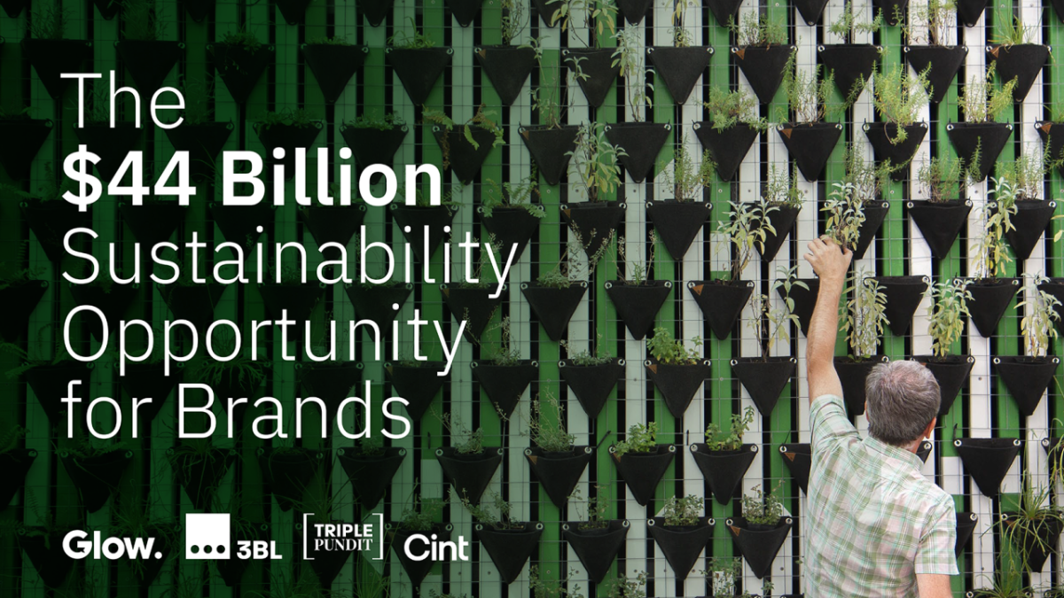 The $44 Billion Sustainability Opportunity for Brands