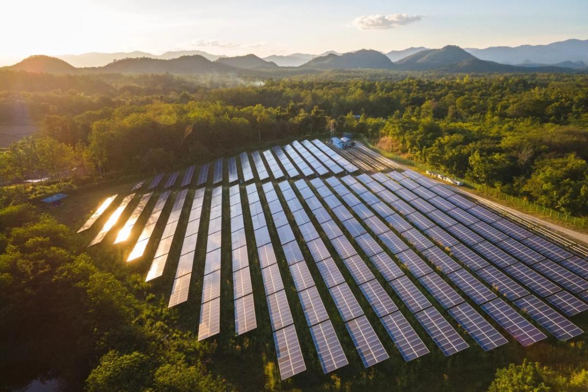 array of solar panels