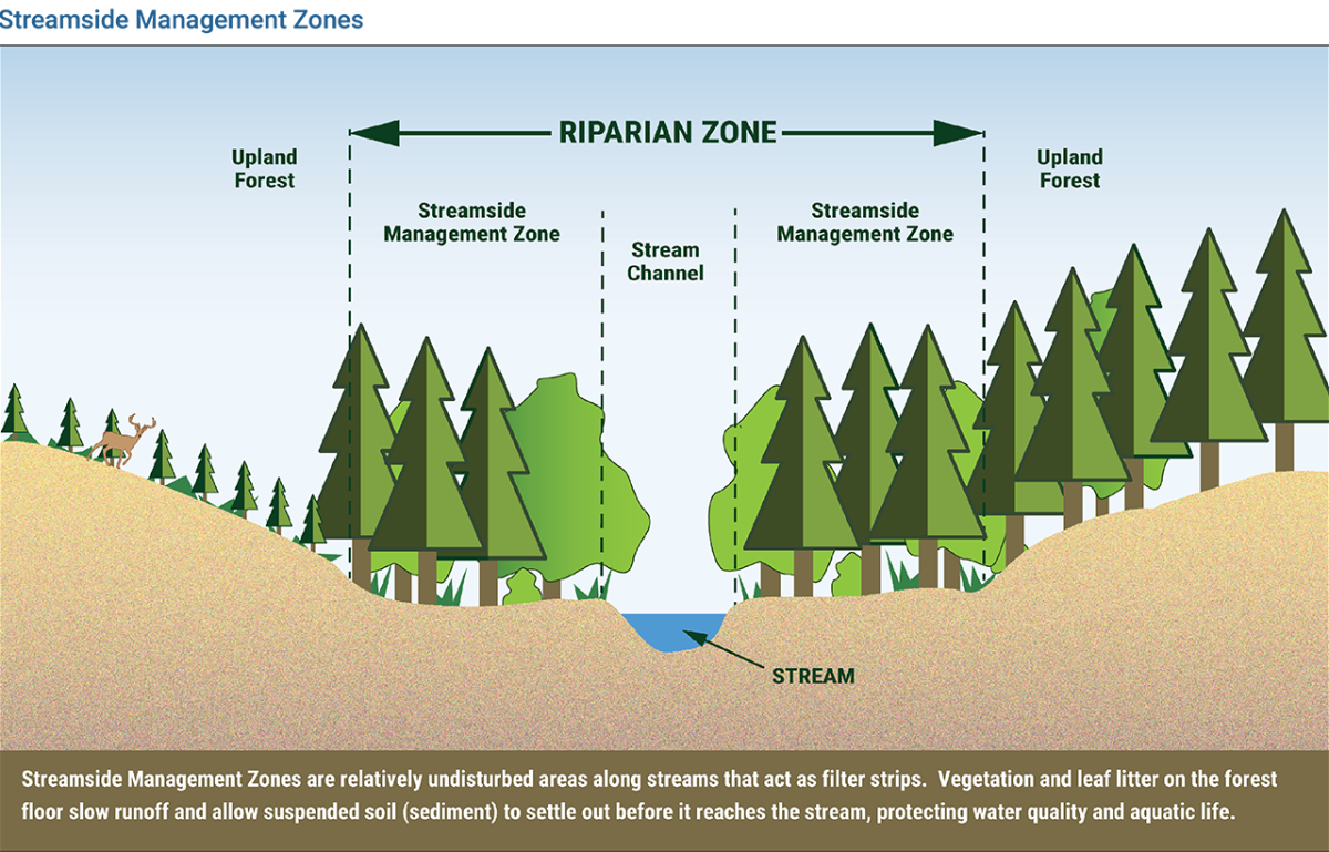 Info graphic "Riverside Management Zone" showing a cross-section of a digital forest and waterway with different zones labeled.