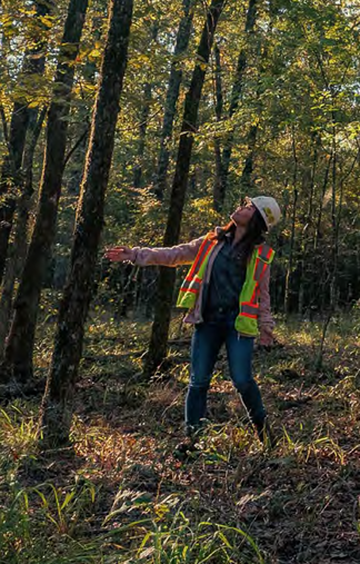 A person in hard hat and high-vis vest reaches out towards a tree and looks up to the top. In a forested area.