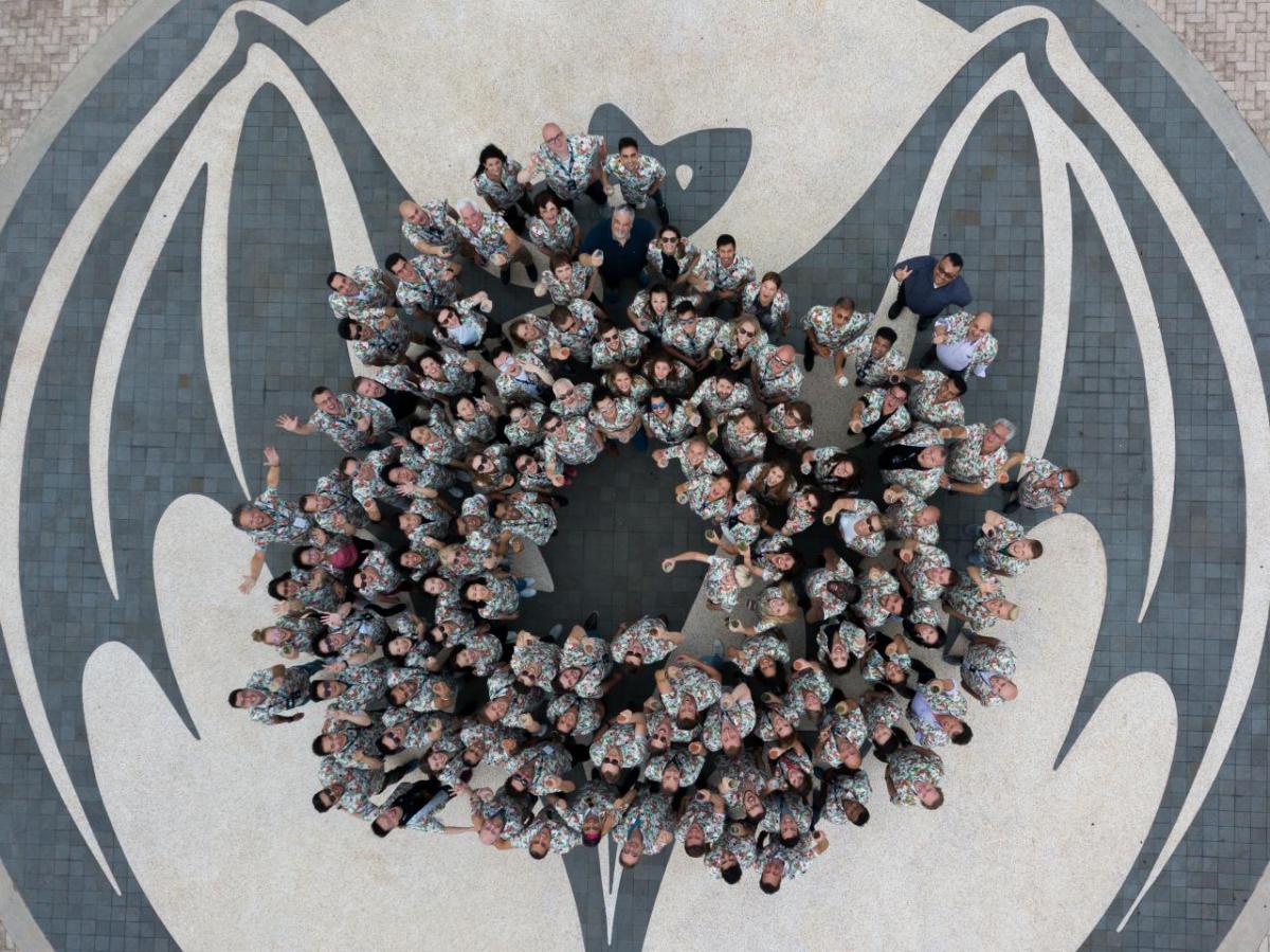 Aerial view of a team posed in a circle.