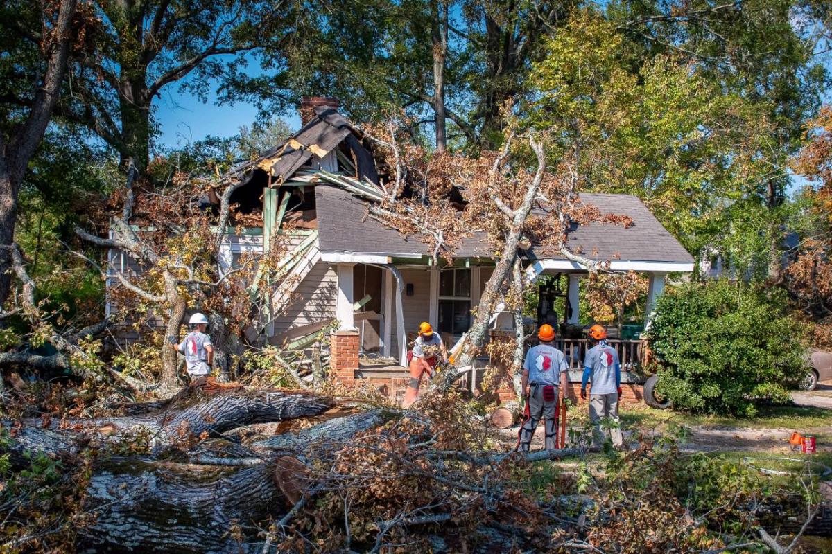 People in hardhats, some with chainsaws, watch as one cuts large limbs on a tree that has fallen on a small house.