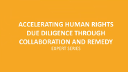 "ACCELERATING HUMAN RIGHTS DUE DILIGENCE THROUGH COLLABORATION AND REMEDY EXPERT SERIES"