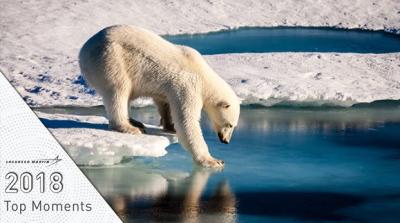 In 2018, we began working on a project to scale the topography of the Arctic. This is important because it will allow us to monitor environmental changes in the region overtime with the best technologies available.
